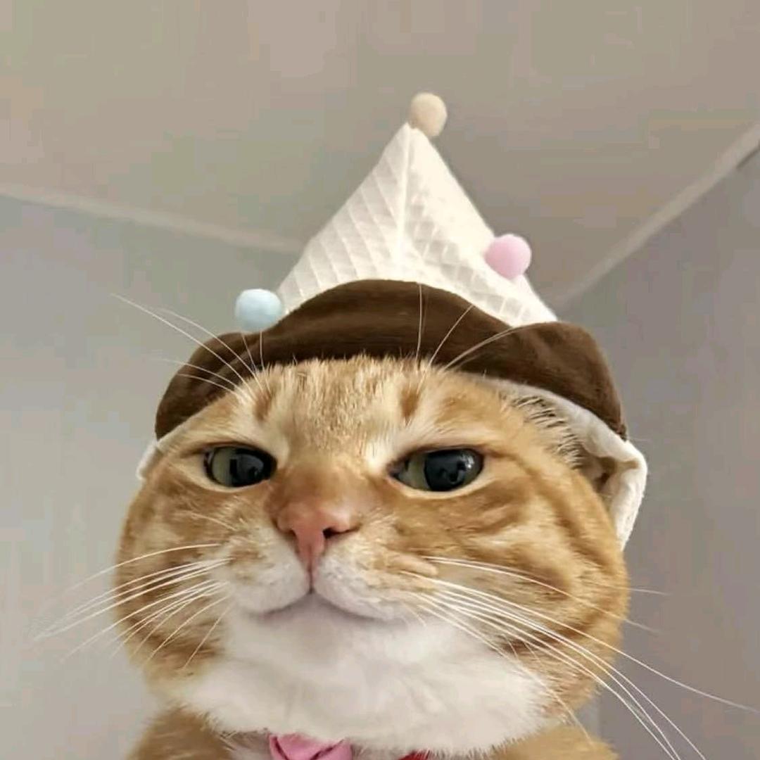 小小洋