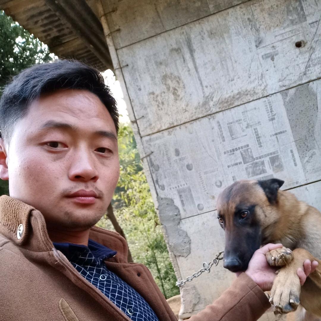 十三～丹