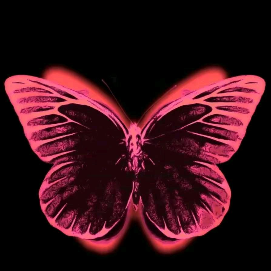 蝶🦋