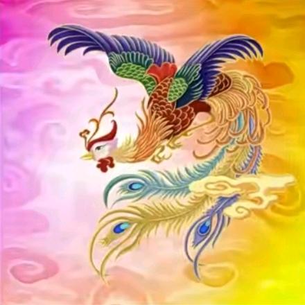 清玥来了