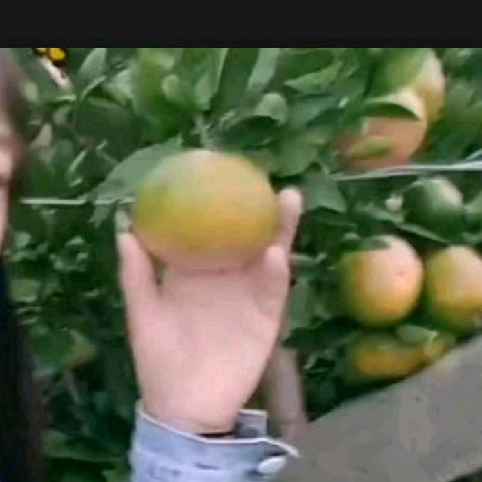 一生幸福🌹🌹