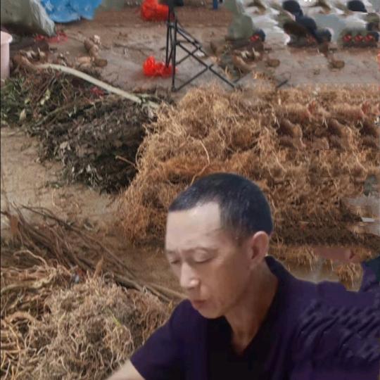 龙哥谈百草