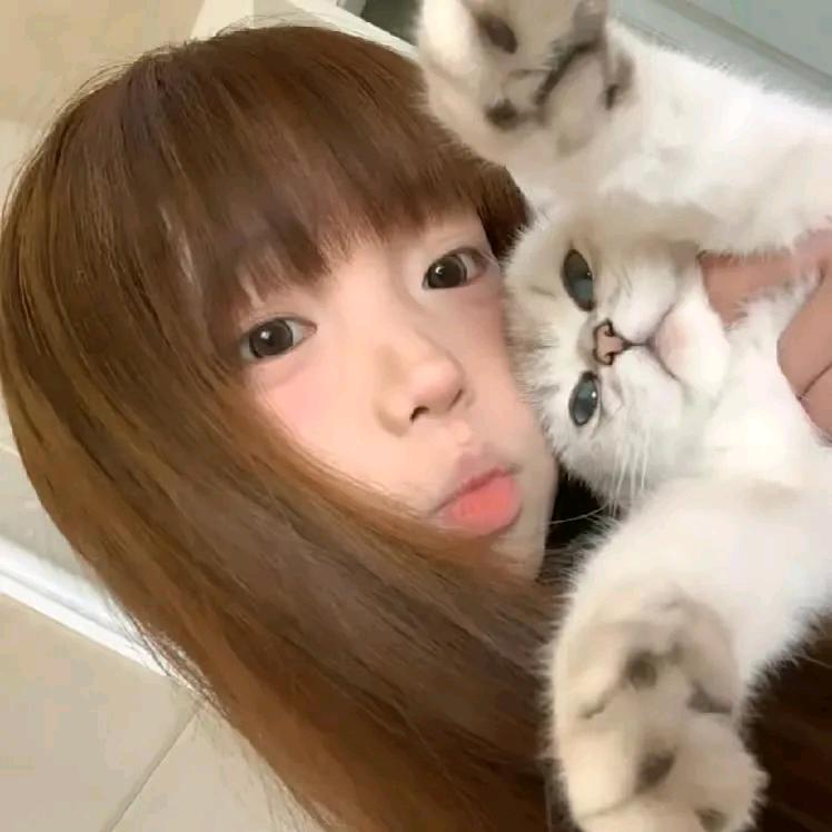lu22。