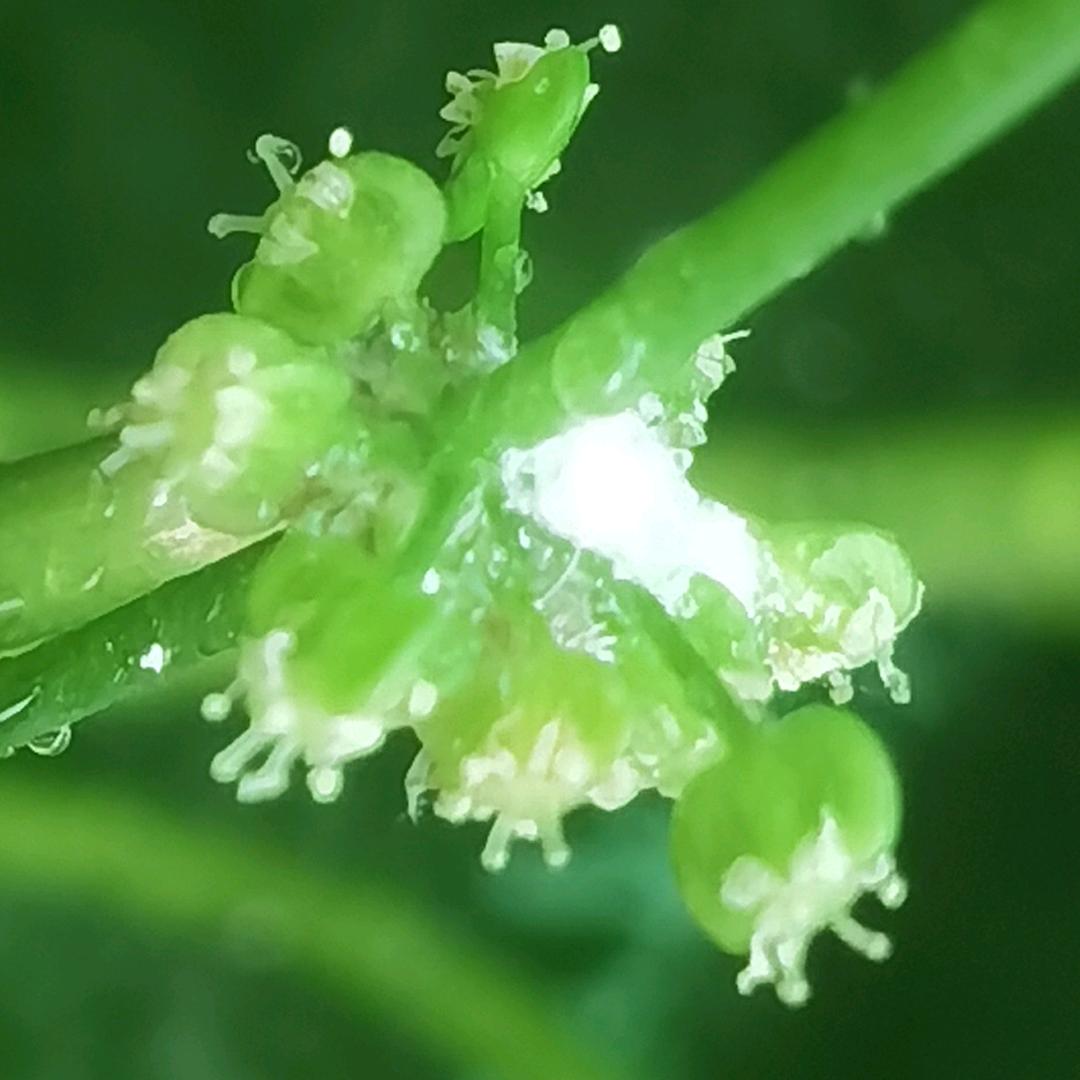 平平淡淡