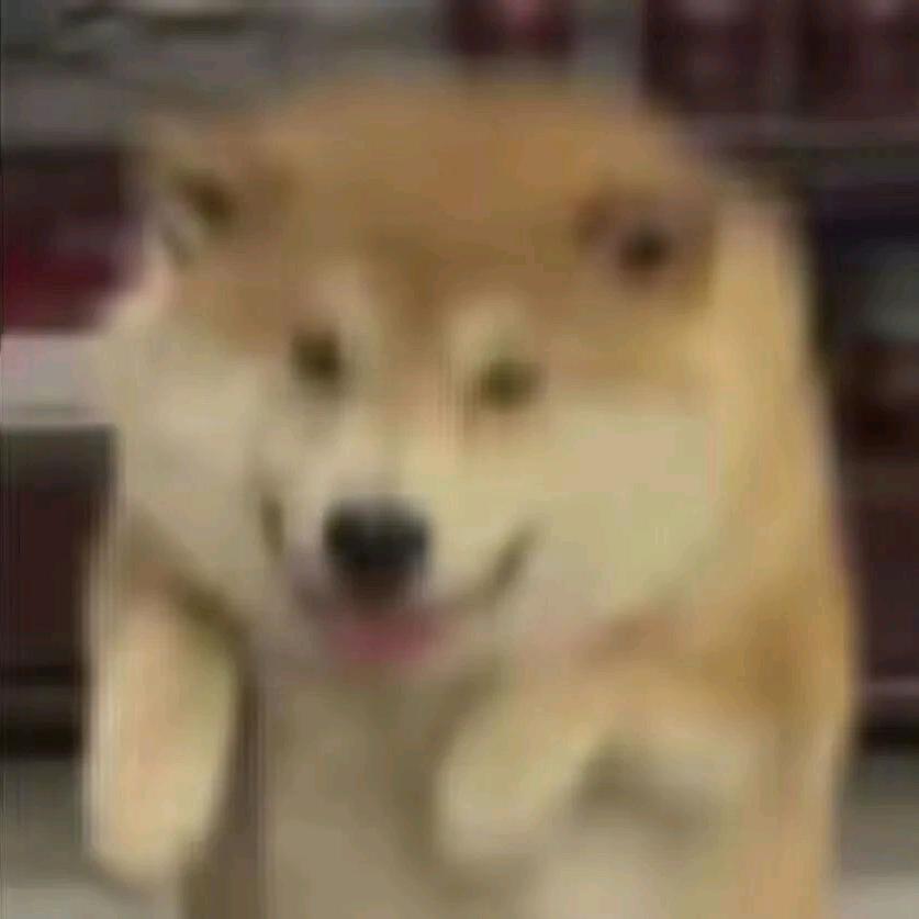 小言子