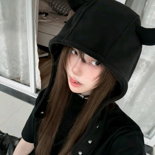 冬青至