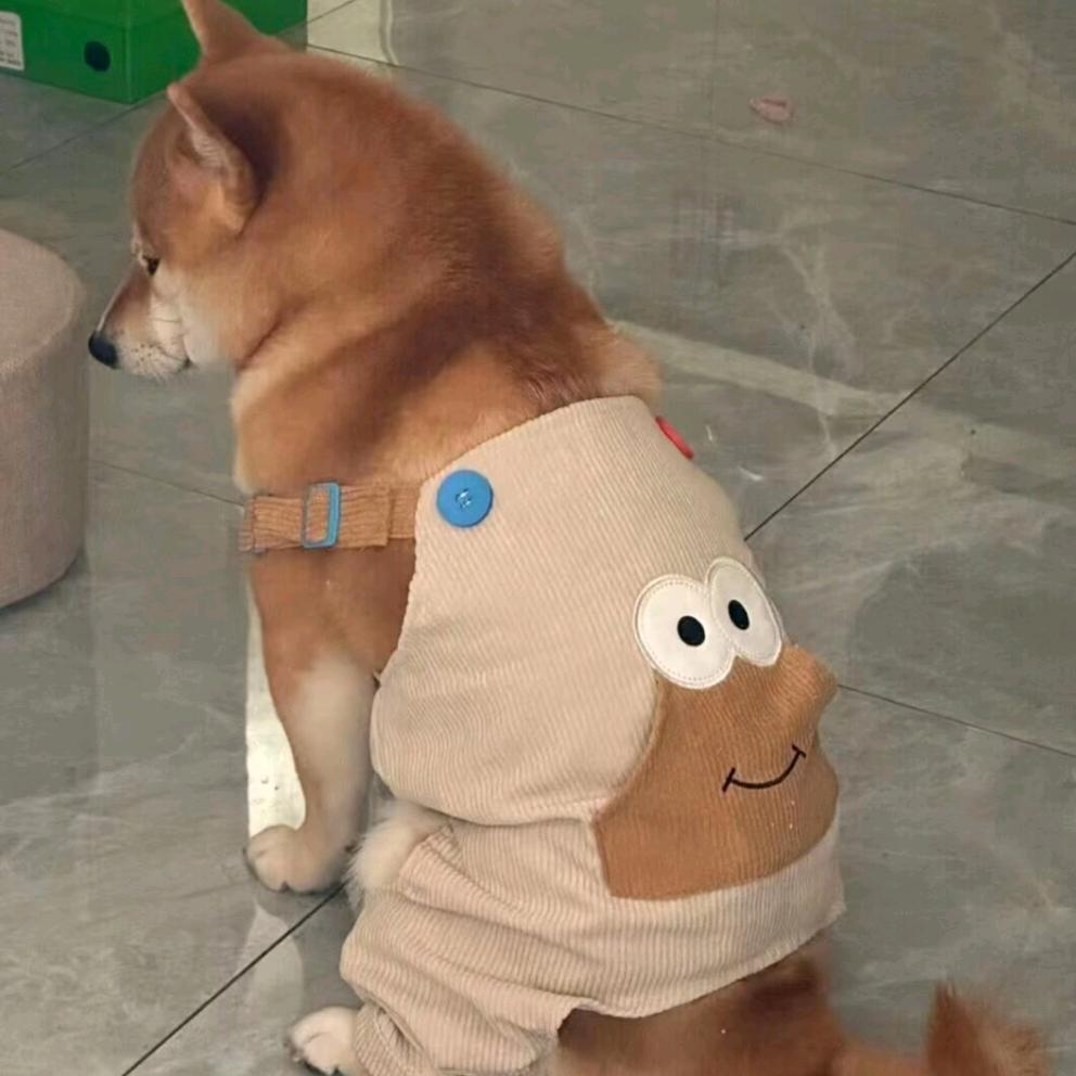 蓝桉