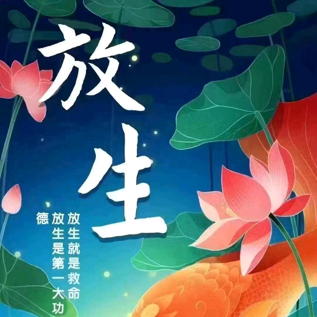 佛道仙缘（晚上12：00开播）