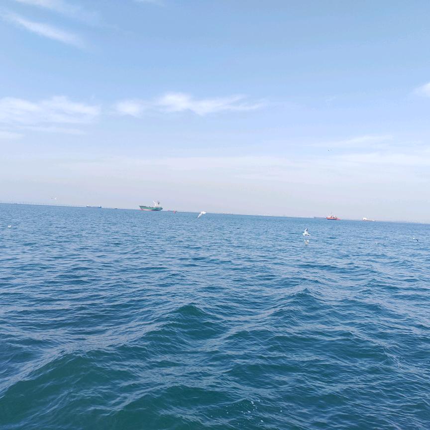 @柠檬橙《佛系王者》