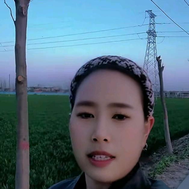 茄子