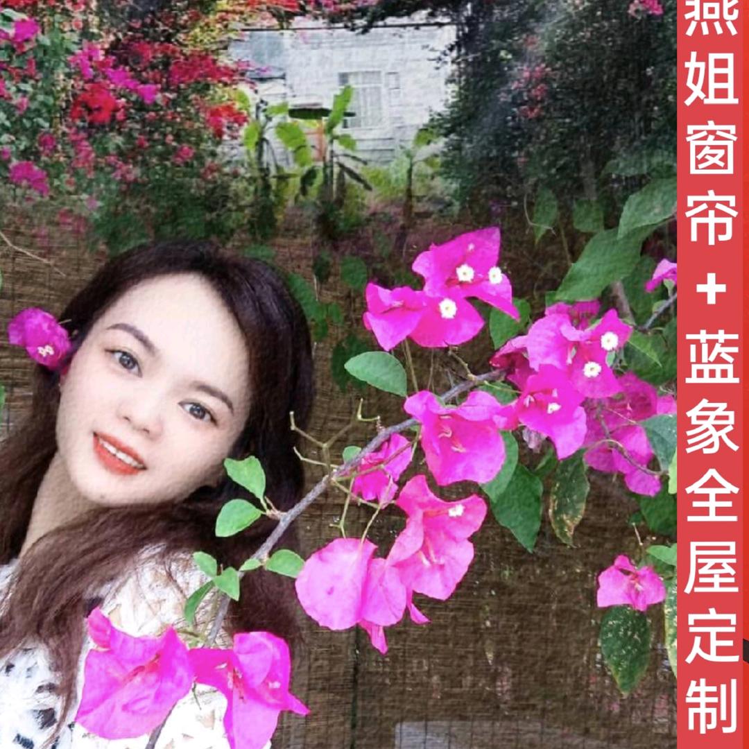 蓝象全屋定制厂 燕姐