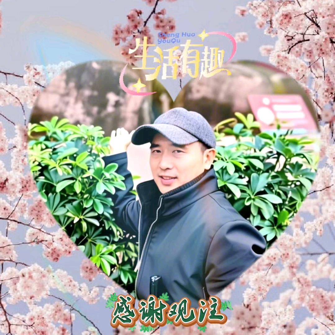 七炫手机摄影