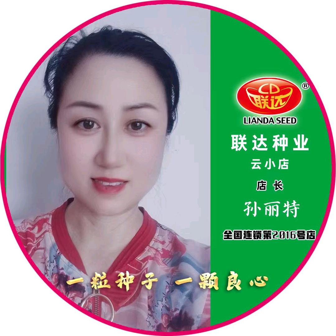 联达通辽云小店-孙丽特