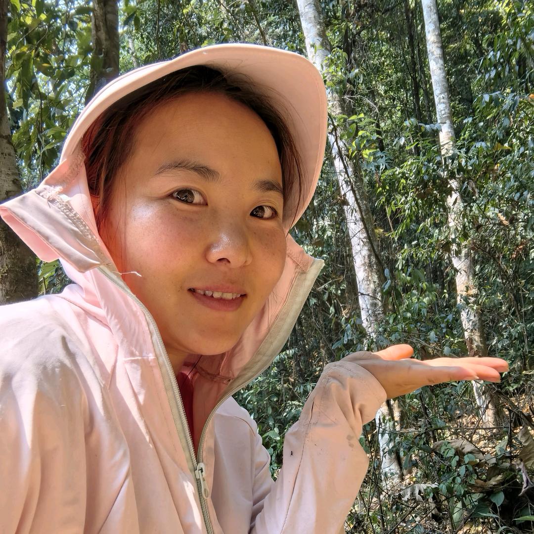 茶源姑娘茶庄