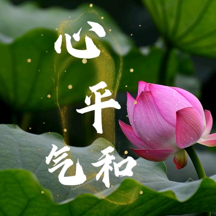 周丽八段锦