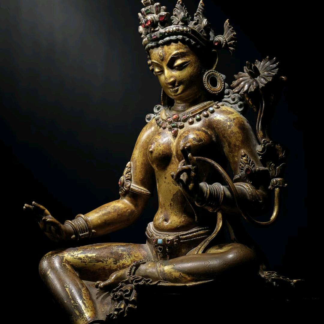 ♛࿐བྷོཊ   sheng long