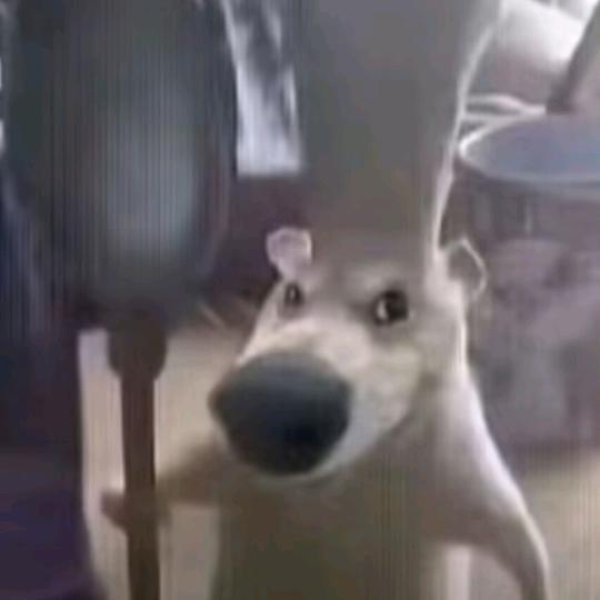 妍柒大王