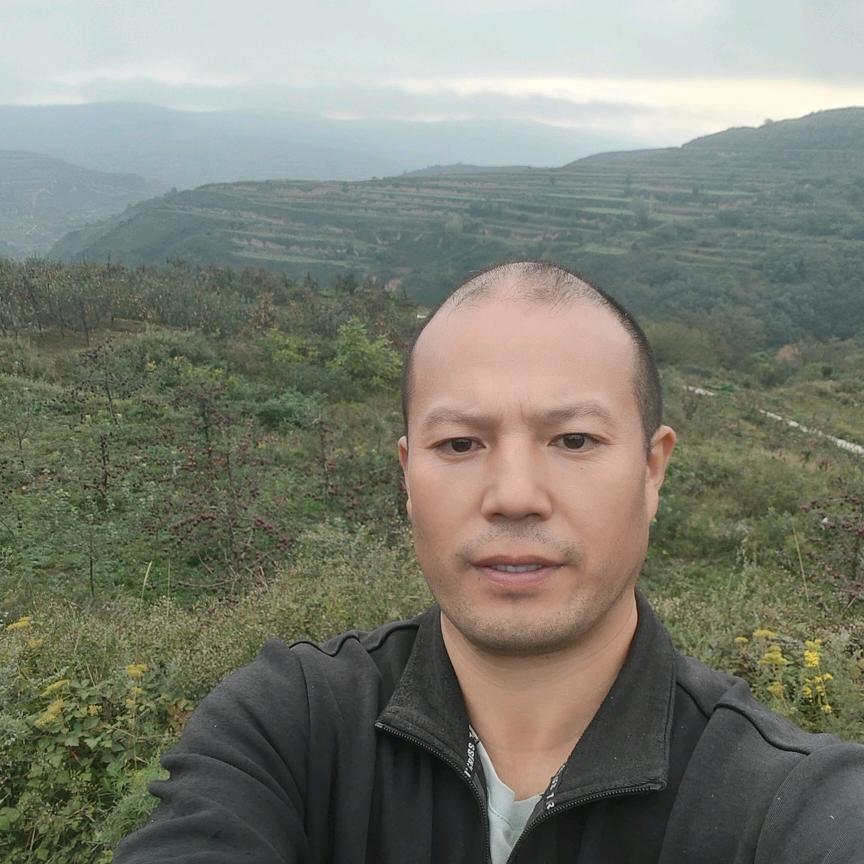 铜陵孟哥在产地