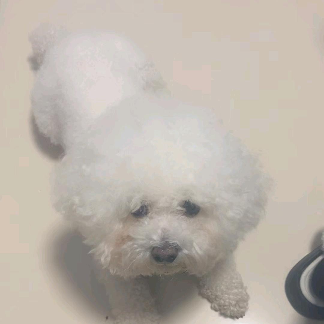 卖肠郎㎥