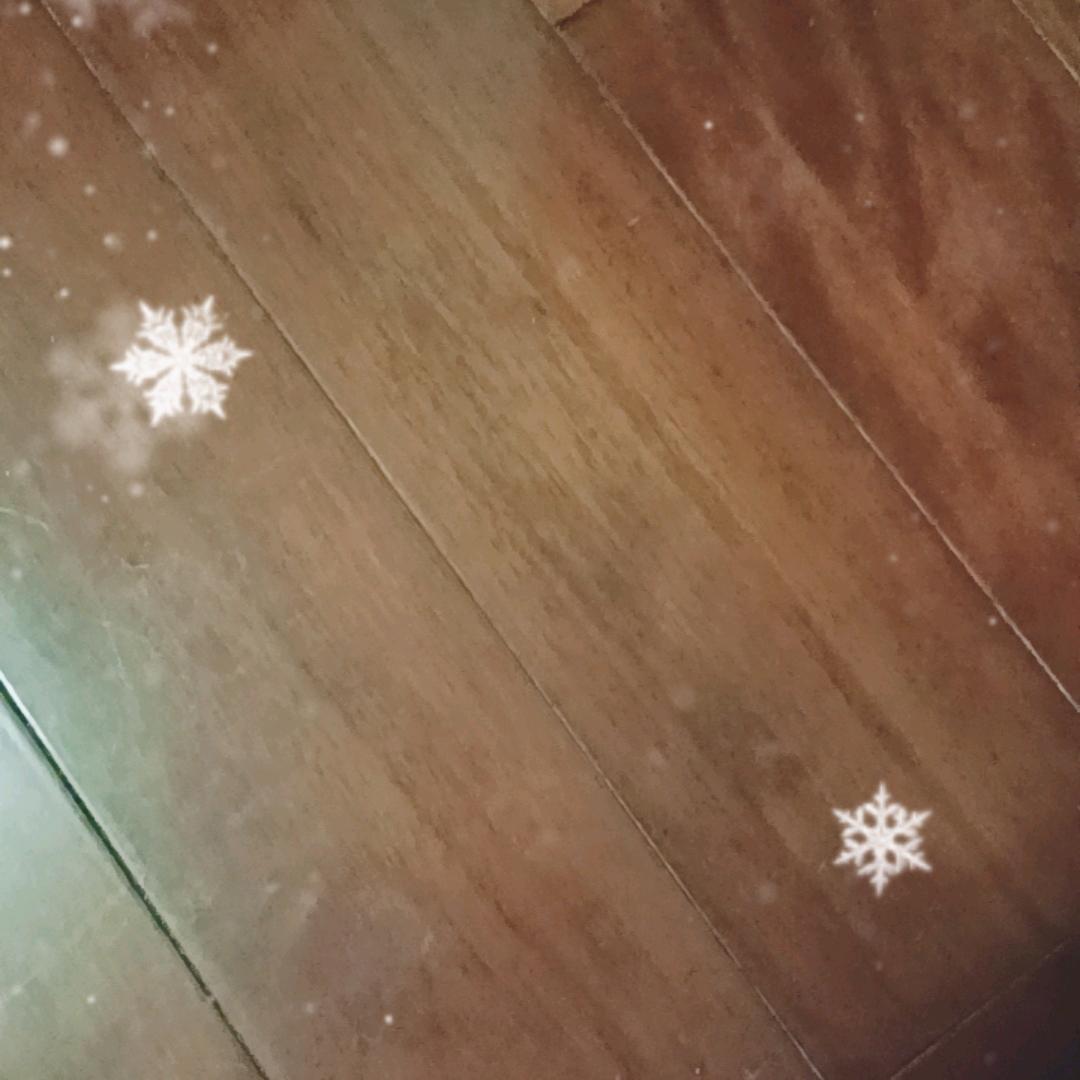 牛马搬运工