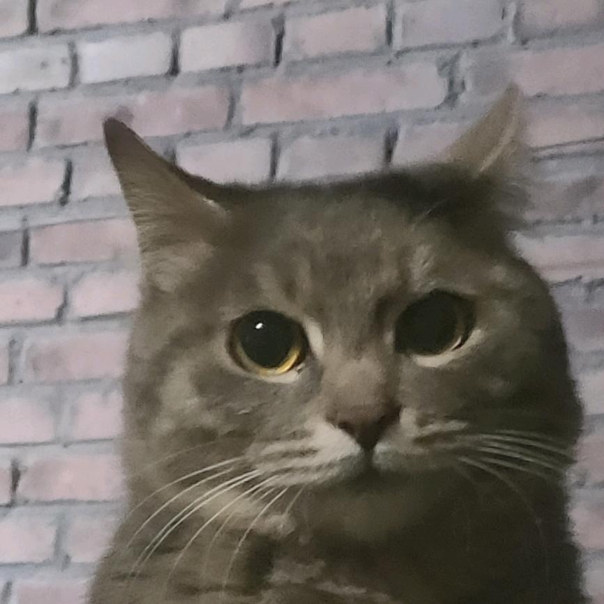 烤栗子