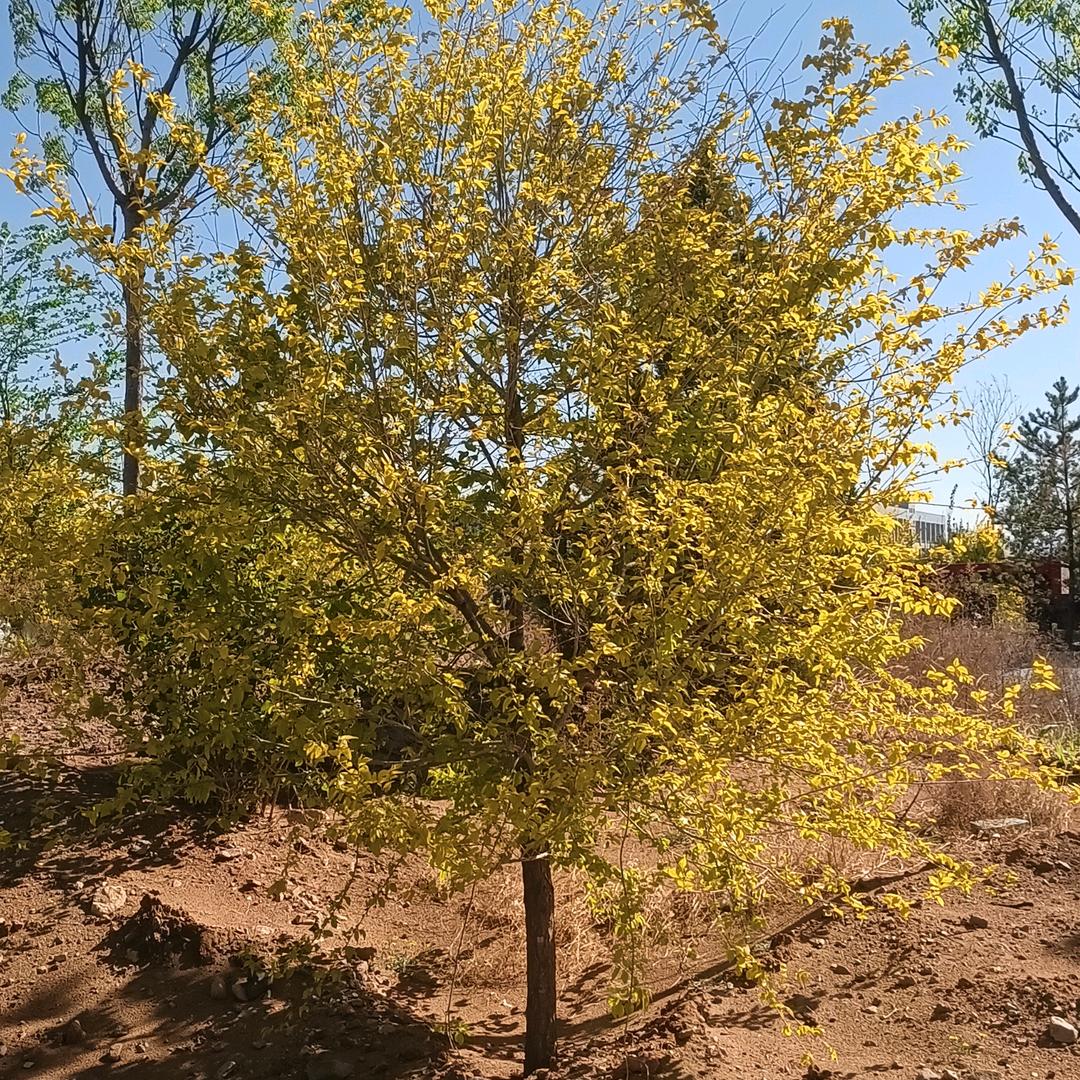 💤💥浅*默💔淡*殇💥💤