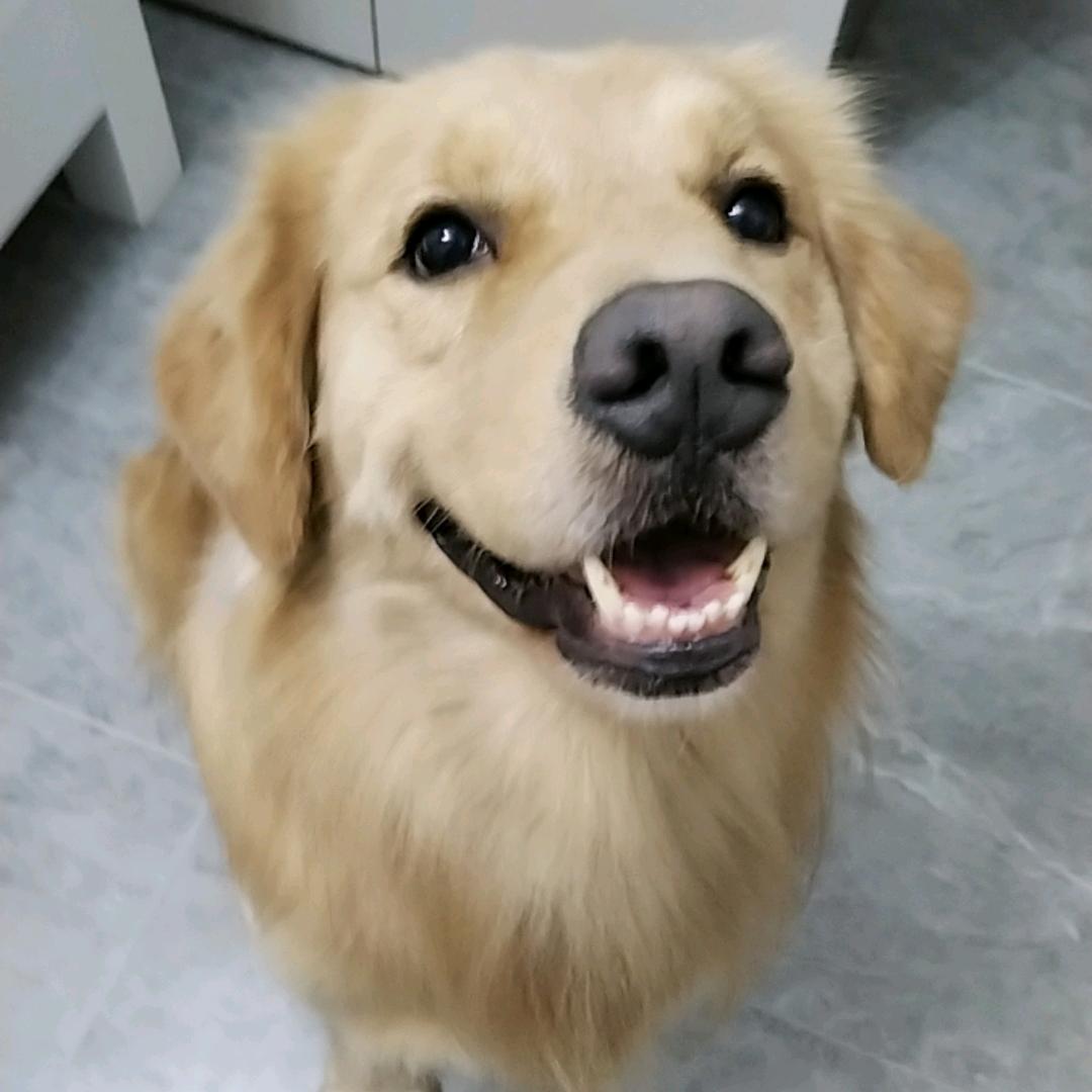 小仔仔