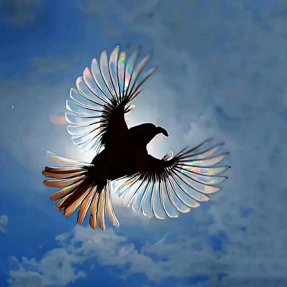 广州商业地产租售