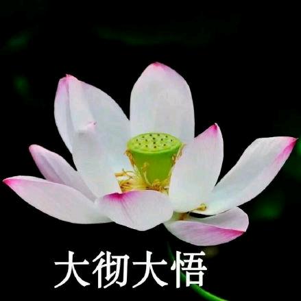 朱华宁