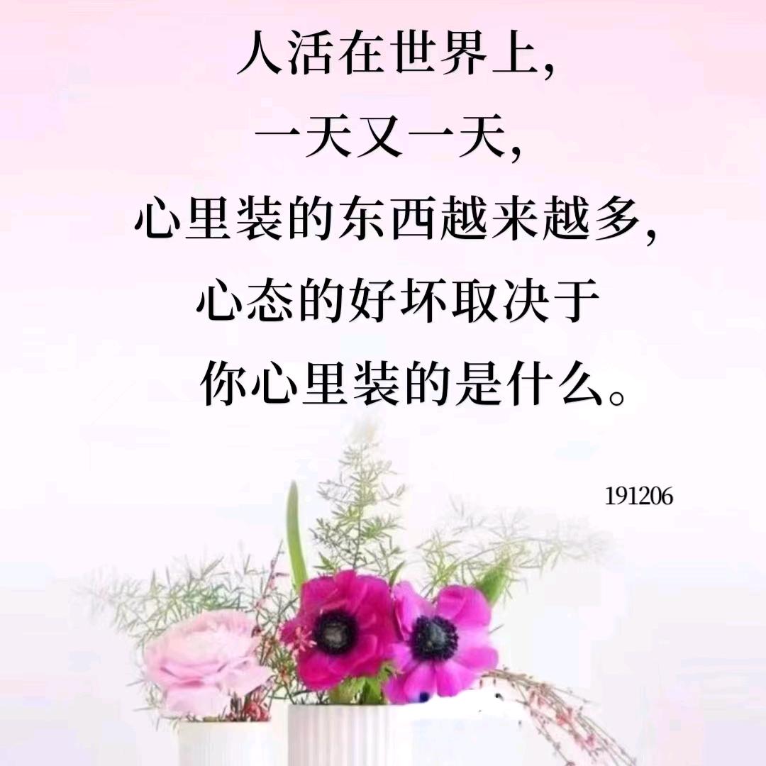 🌿春风🍭傅面