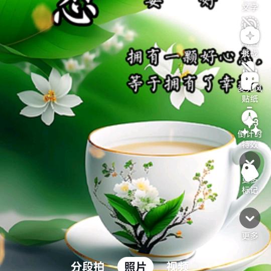 点春枝