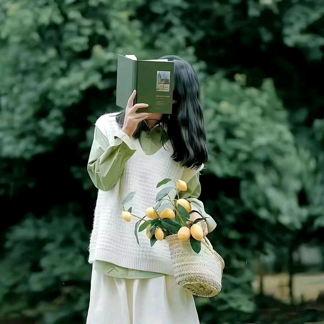 菠萝豆