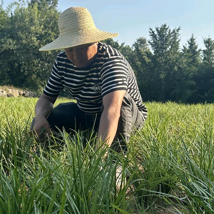 宜昌市康农农业开发有限公司
