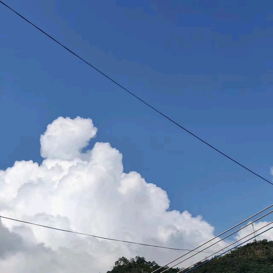 农村小霞