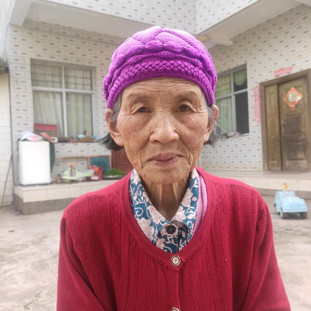 严定存