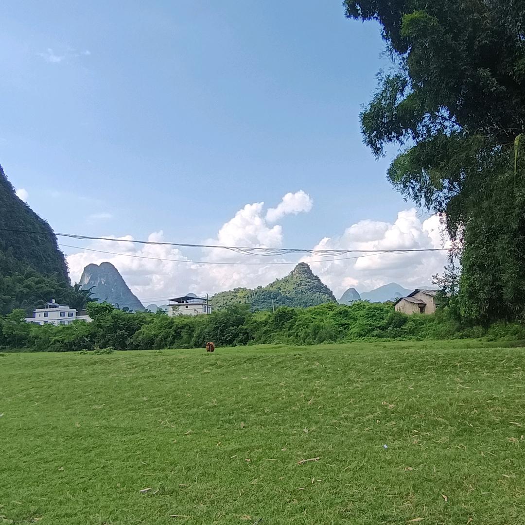 慧公智