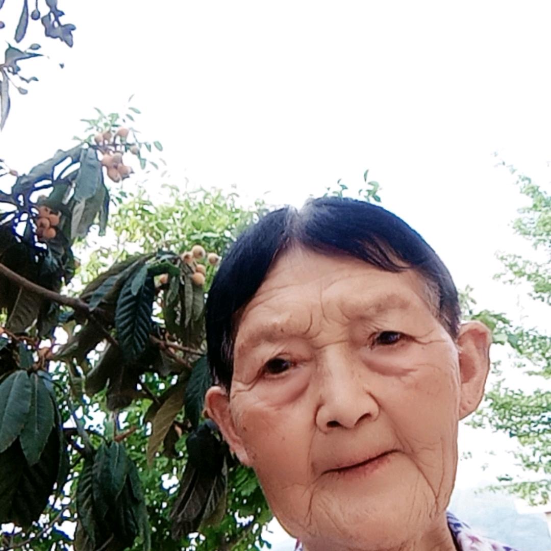 李芝清