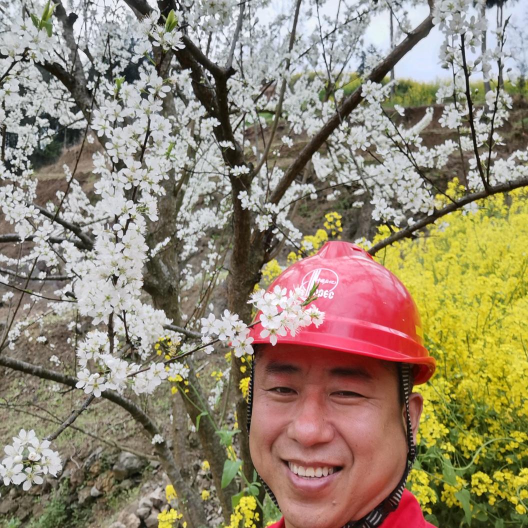 再等铁树开花
