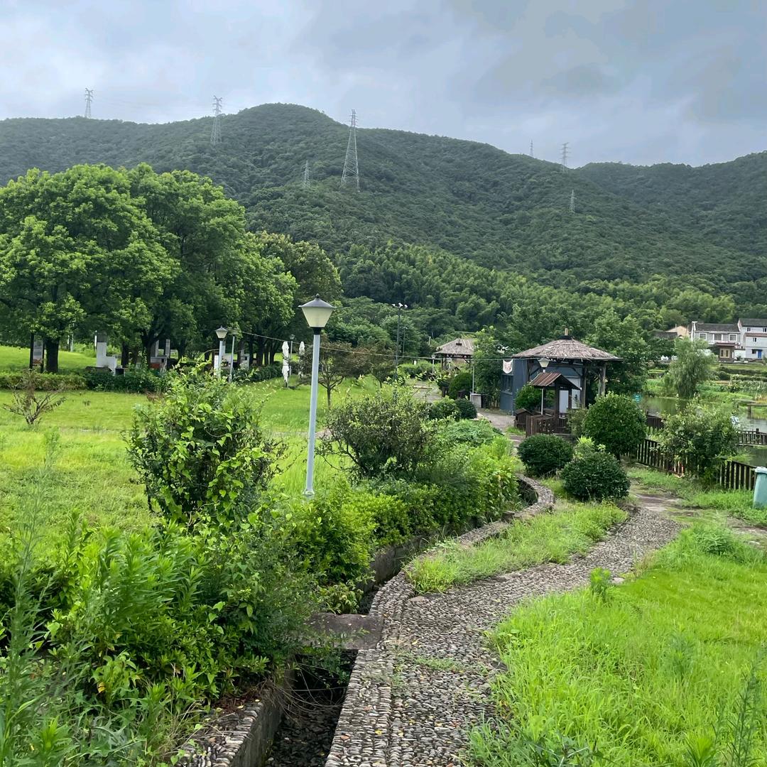 再见容易再见难