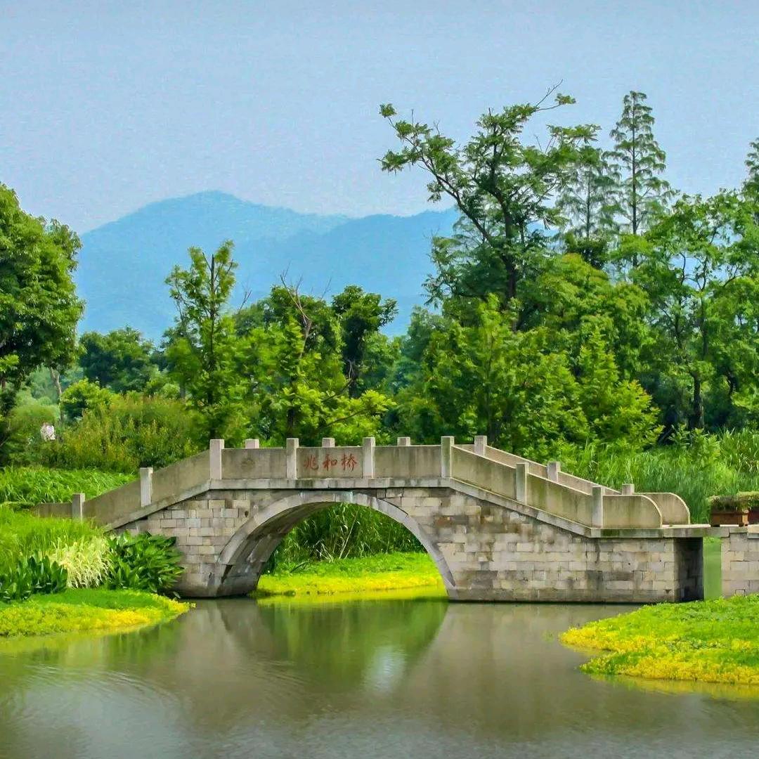 缘份天注定5640
