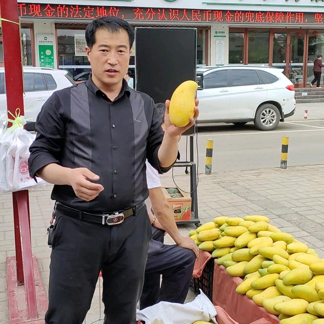杨师优选