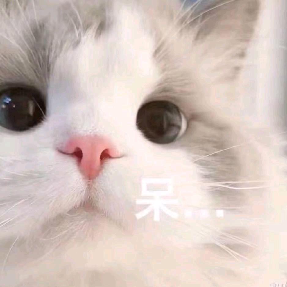 王烯同