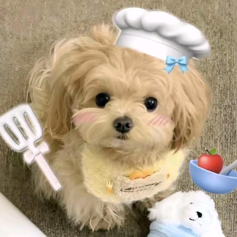 小小陀螺.