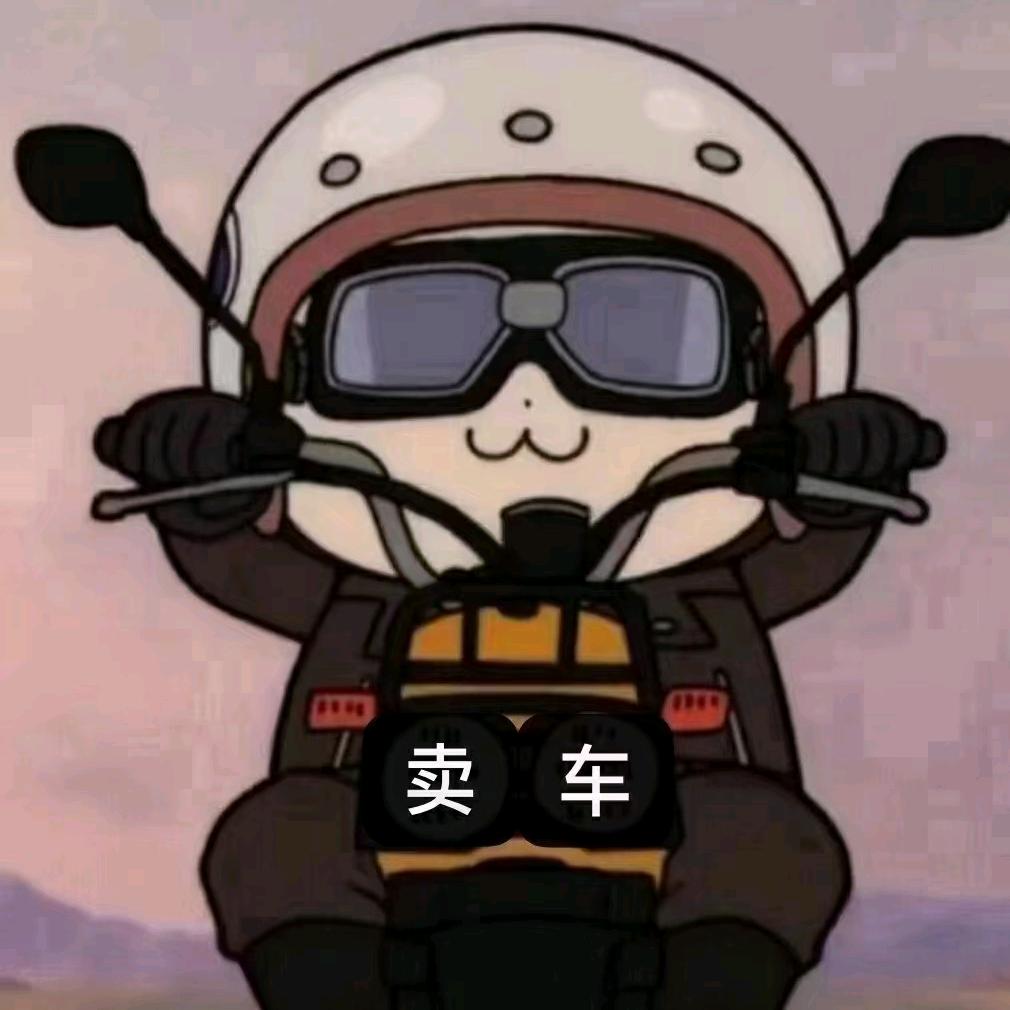 金欣小董