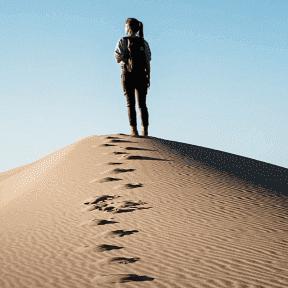 |｡･㉨･)っ♡貓寳💋