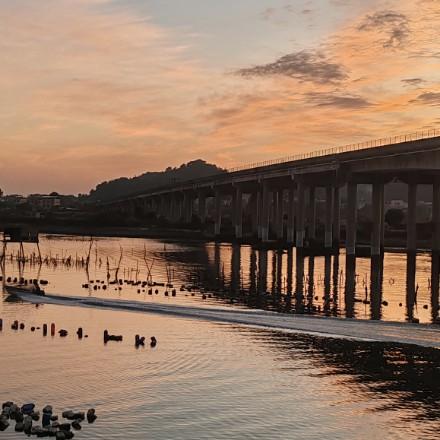 中药面膜郑小白