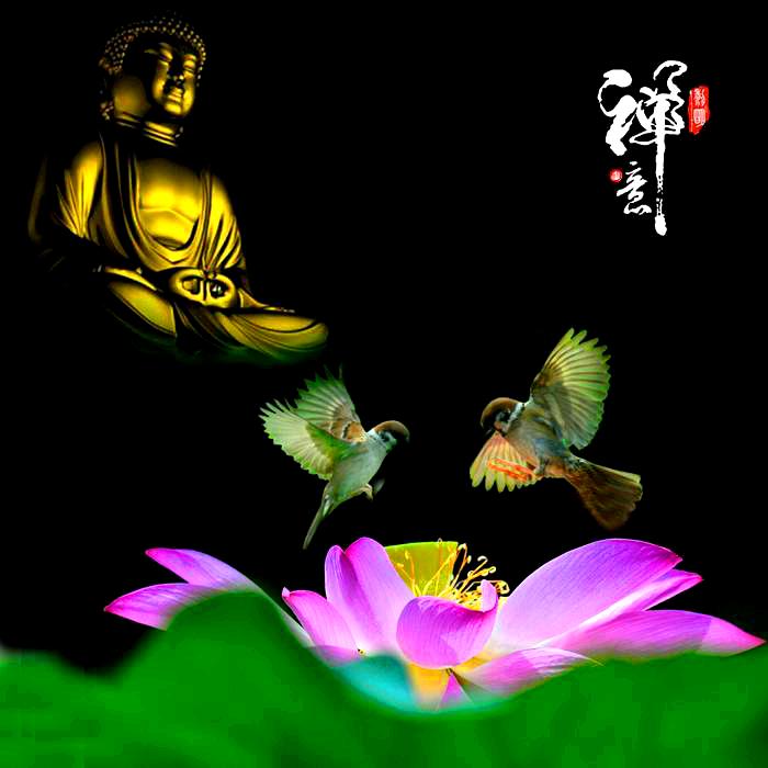 大漠胡杨