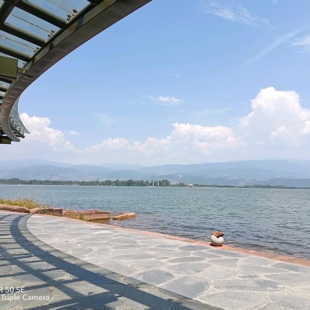 顺理成张🌾🌾🌾