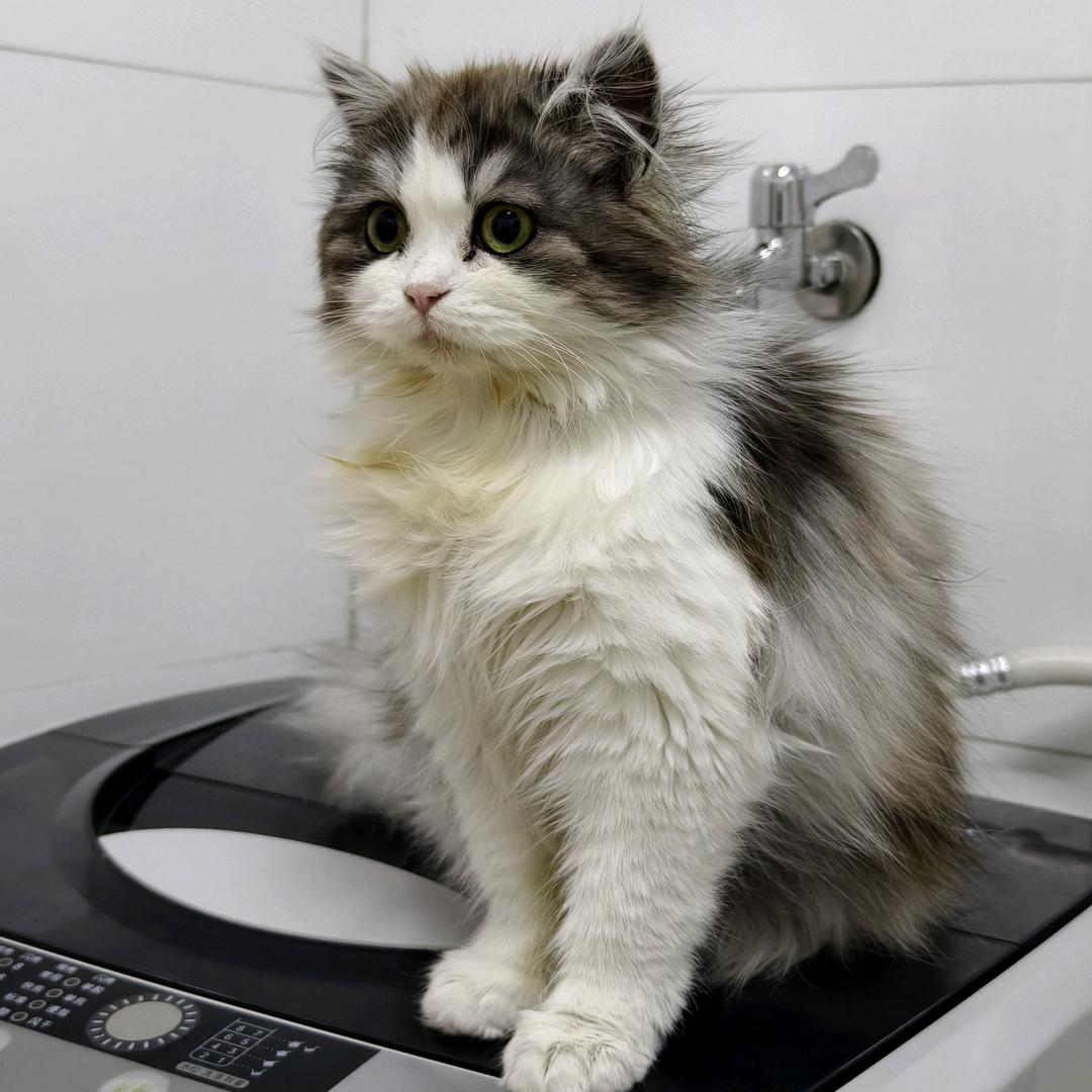 李小满的幸福生活