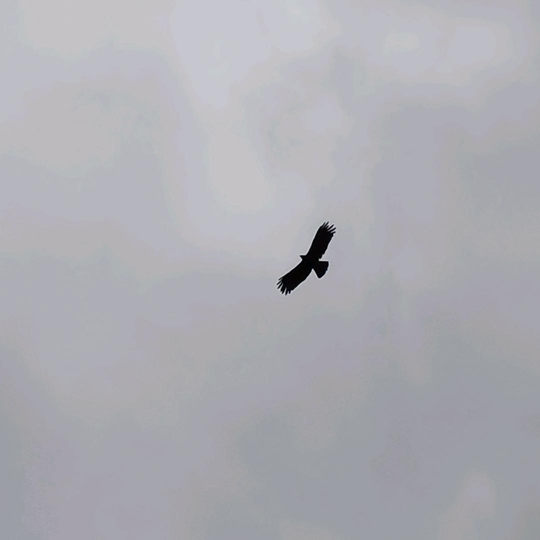 遇到自己不知道